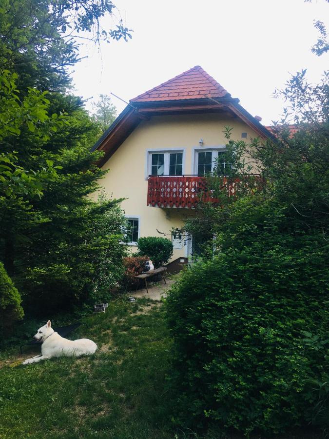 Nicehead Spacious Nest Between Maribor And Celje Loče pri Poljčanah Zewnętrze zdjęcie