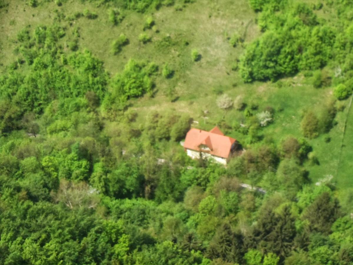 Nicehead Spacious Nest Between Maribor And Celje Loče pri Poljčanah Zewnętrze zdjęcie