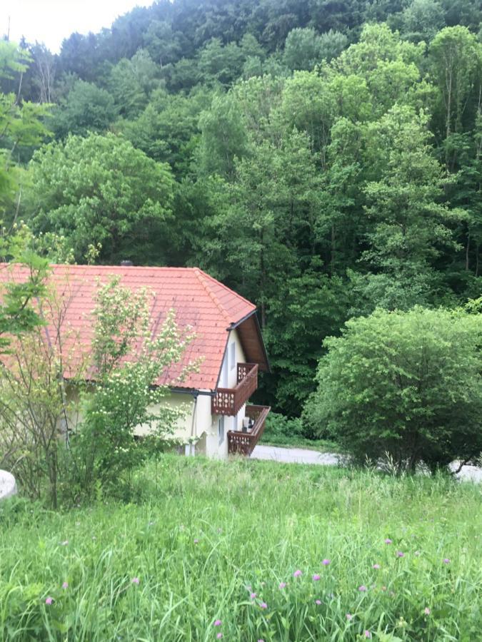 Nicehead Spacious Nest Between Maribor And Celje Loče pri Poljčanah Zewnętrze zdjęcie